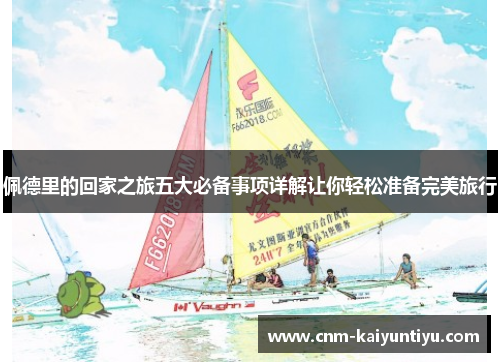 佩德里的回家之旅五大必备事项详解让你轻松准备完美旅行