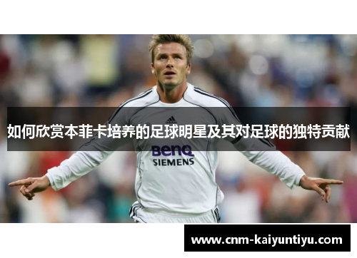 如何欣赏本菲卡培养的足球明星及其对足球的独特贡献