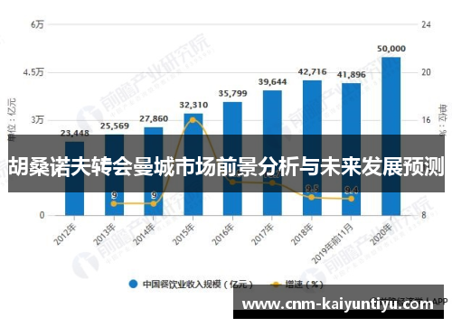 胡桑诺夫转会曼城市场前景分析与未来发展预测