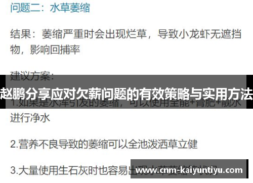 赵鹏分享应对欠薪问题的有效策略与实用方法 赵鹏分享应对欠薪问题的有效策略与实用方法