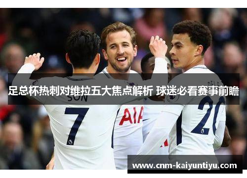 足总杯热刺对维拉五大焦点解析 球迷必看赛事前瞻