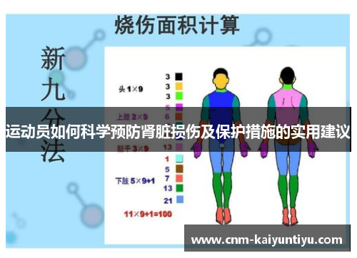 运动员如何科学预防肾脏损伤及保护措施的实用建议
