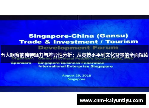 五大联赛的独特魅力与差异性分析：从竞技水平到文化背景的全面解读