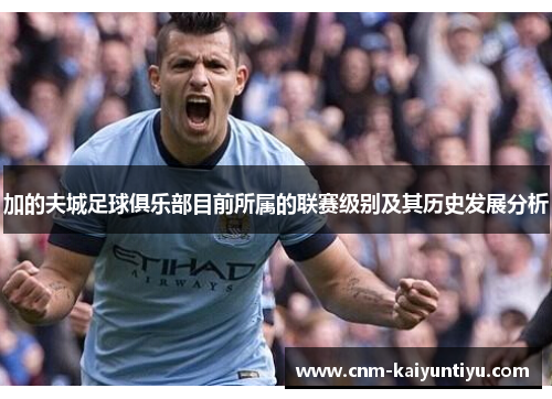 加的夫城足球俱乐部目前所属的联赛级别及其历史发展分析