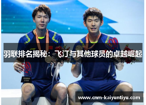 羽联排名揭秘：飞汀与其他球员的卓越崛起